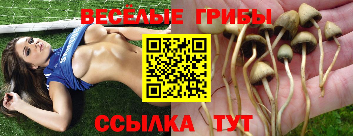 Псилоцибиновые грибы Cubensis  Вход с VPN  Реж 